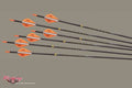 Victory Archery VAP TKO Elite Fletched Arrows with Insert’s and Nocks 6 PK